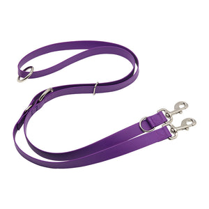 Multifunctional Dog Leash